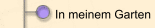 In meinem Garten