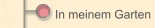 In meinem Garten